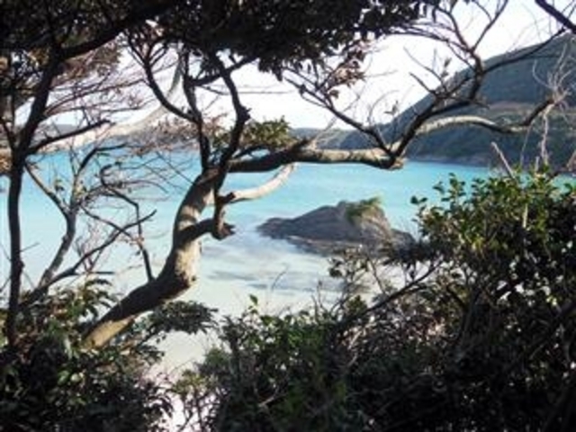 ԏꂩuOFclv]ށiΔnj_OFcC