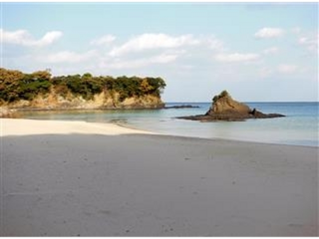 u{̏SIFOFclvv̕iiΔnj_OFcC