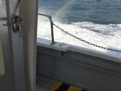 炢̓쓇CJEHb`Oւ̓eʐ^1