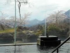 Ƃ߂ڂPP̍q򗴉_ւ̓eʐ^1