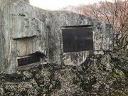 esm����̋g��E�̔�̓��e�ʐ^1