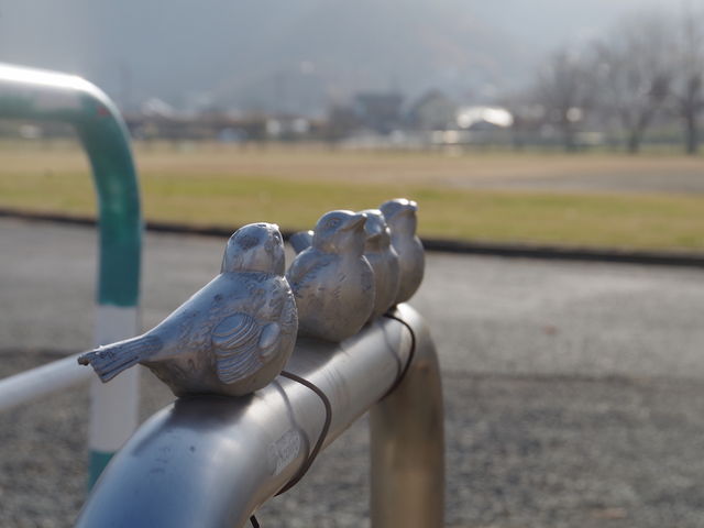 2018�N12���B�e_�ݗt�̗��X�|�[�c�G���A