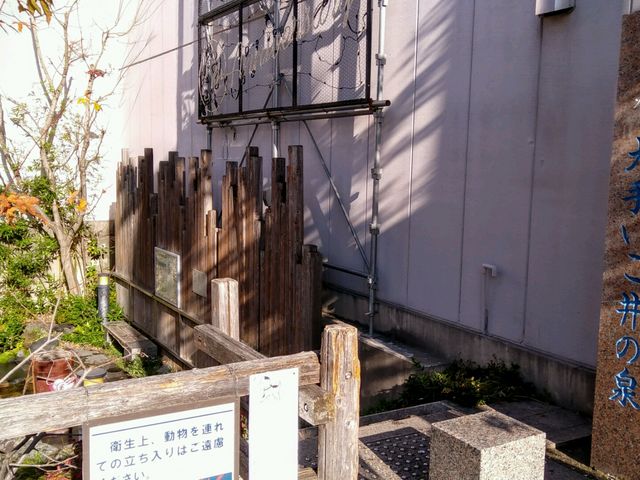 ��肢����̐�_��肢����̐�