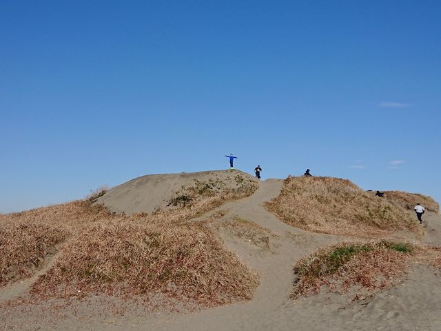 Ll_X싙ԓXiqcKjނ̌j