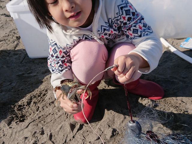 qłӊOɂƂ܂I_X싙ԓXiqcKjނ̌j