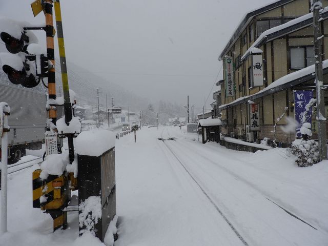 �H�Ɠ����ʒu����B�e_����㉷��w��