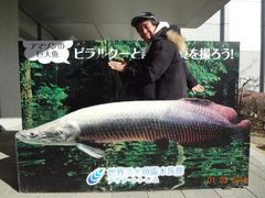 񂳂̐EW ANAggӂւ̓eʐ^1