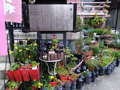 ܂炳̍ː_Ђւ̓eʐ^1