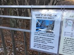 hƂ䂤q̃Avg̓ւ̓eʐ^1