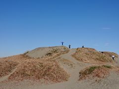 X싙ԓXiqcKjނ̌j̎ʐ^2