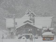 zin̓㉷wɂւ̓eʐ^1