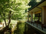 w-masa̓̉w Ђ̓eʐ^2