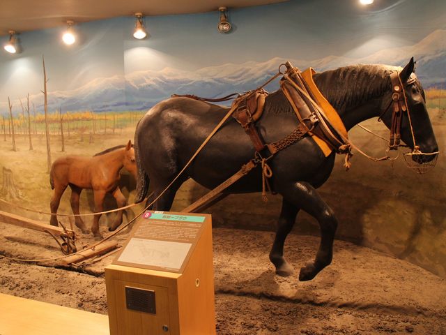 �_�k�n�A_�n�̎�����