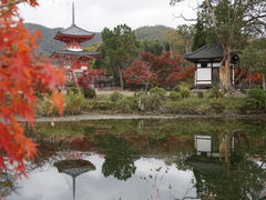 旧嵯峨御所 大本山大覚寺の写真一覧 2ページ目 じゃらんnet