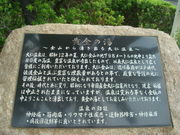 񂲂̑mwO[^[u̓v̓eʐ^4