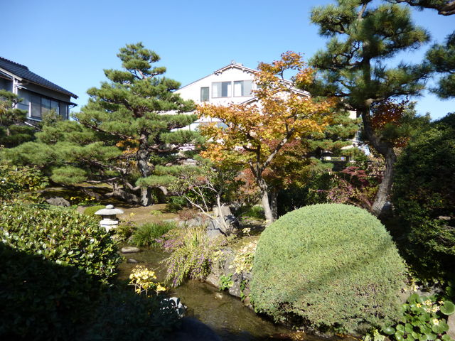 �����Ȓ������܂�_������ˎm���c�Ɛ�