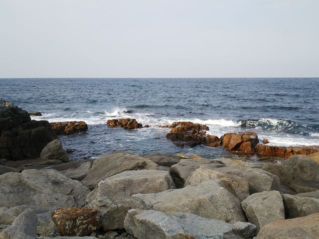 �r�X�����C_���l����@��̓�