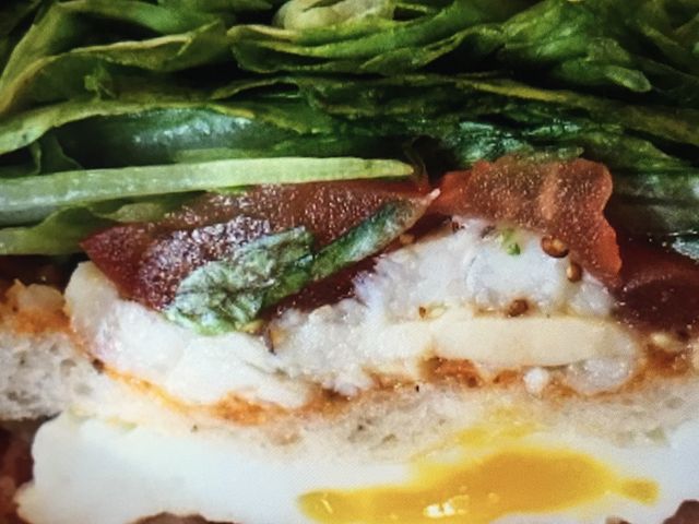 {[肷_X^[obNXER[q[ ޗǐ厛wOX