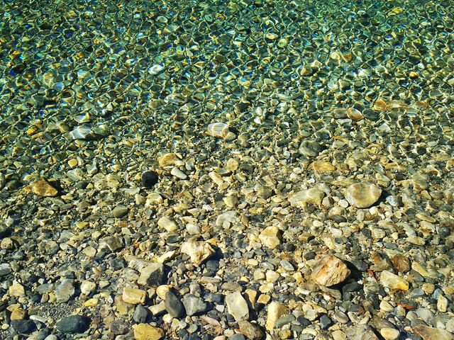 �����������Ǝv�����炢�ɐ�ꂪ�����܂�_���q��