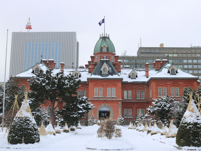 ��̖k�C�������{����_�k�C�������{����(�Ԃ�񂪒���)