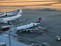 񂱂ނ̐`W]ւ̓eʐ^1