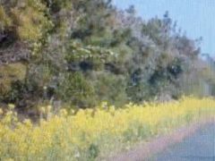 Ё[񂳂̖[t[Cւ̓eʐ^1