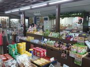 ꂨ񂳂̏R邩̓eʐ^2