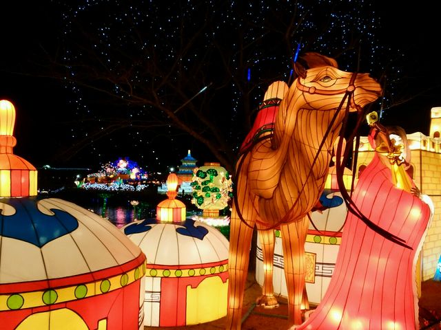 �`���C�i�����^��_�����h�C�c��