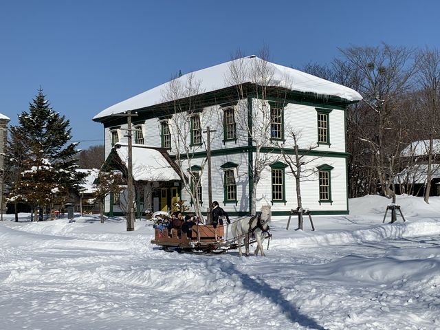 12�`3���̓y���j���͔n���肪����܂��B�n�ɕt����ꂽ��̉�����̒��ɋ����܂��B_�k�C���J��̑�