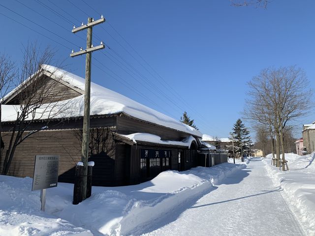 �~�G�ł��X�g���[�g���Y��ɐ�������Ă��ĕ����₷���ł��B_�k�C���J��̑�