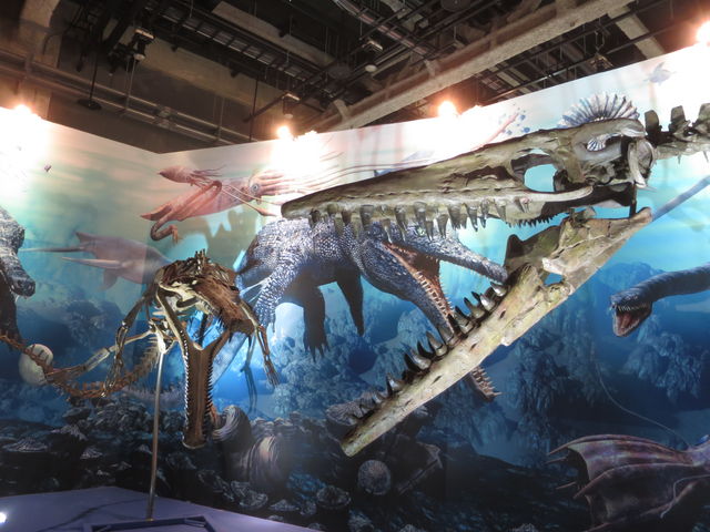 �����W
_���É��s�Ȋw��