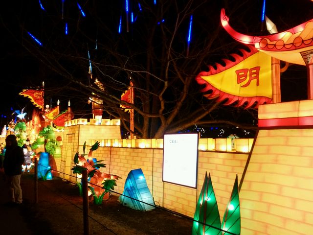 �`���C�i�����^��_�����h�C�c��