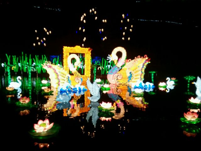 �`���C�i�����^��_�����h�C�c��