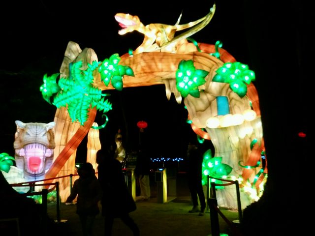 �`���C�i�����^��_�����h�C�c��