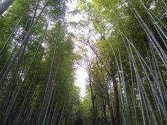 QPIN̒|т̓ւ̓eʐ^1