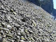 ���Ⴝ�낤����̏�l�C������̓��e�ʐ^1