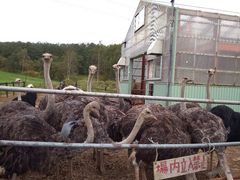 yooko����̃j�Z�R��Q�L�������傤�q��ւ̓��e�ʐ^1