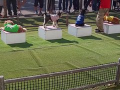 yookõXc][gւ̓eʐ^1