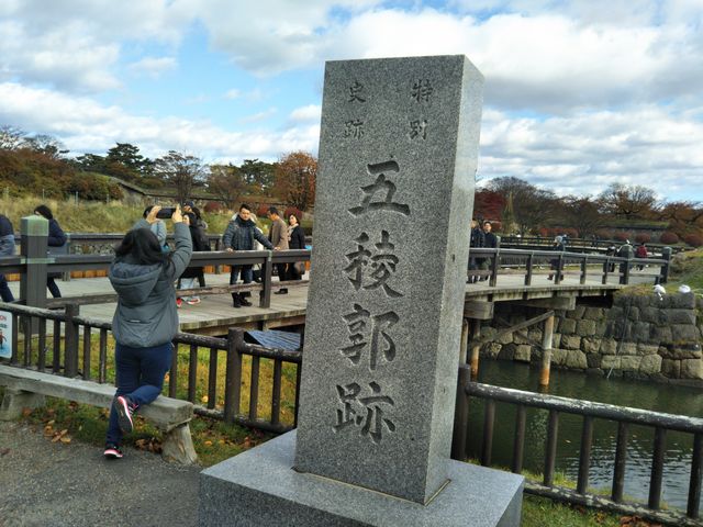 �U��_�ܗŊs����