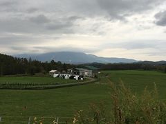 �䂤���낤����̃j�Z�R��Q�L�������傤�q��ւ̓��e�ʐ^1