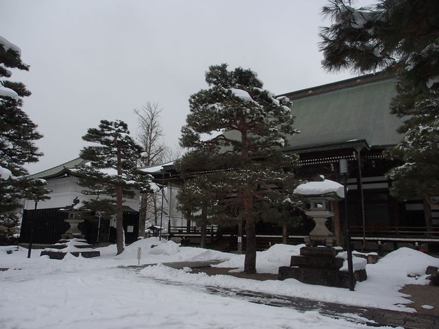 �����񂳂�̐^�@���i�򕌌���ˎs�j�̓��e�ʐ^2