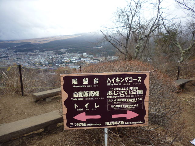 ˂̓VR RnCLOR[X̓eʐ^1