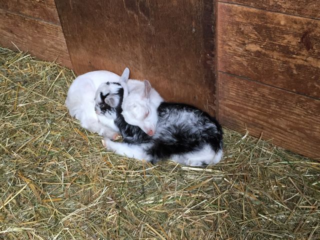 �z�s�q���Y_�z�s�q���Y�t�@�[��