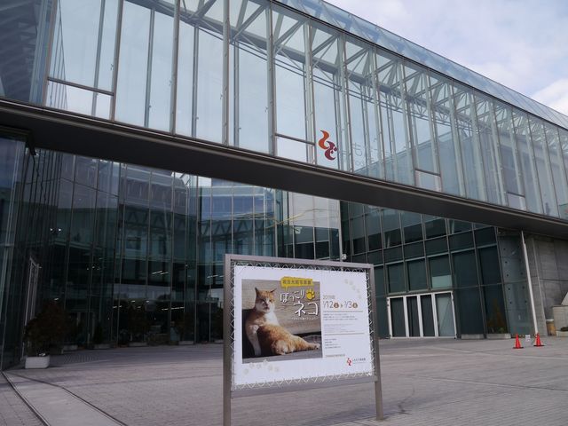 �O��_�������Ĕ��p��