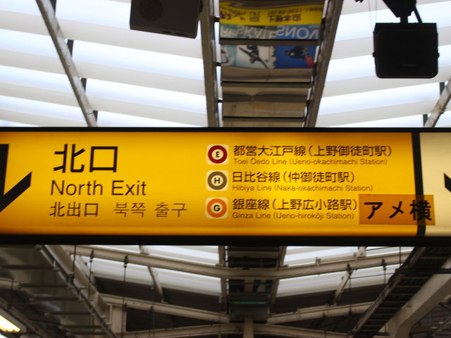 �k������A�����͂����B�n���S����芷���ł��܂��B_�i�q��k���w