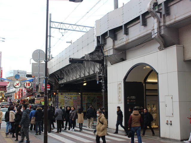 ��k���w�k���@�A�����͉��f������n���Ă���_�i�q��k���w