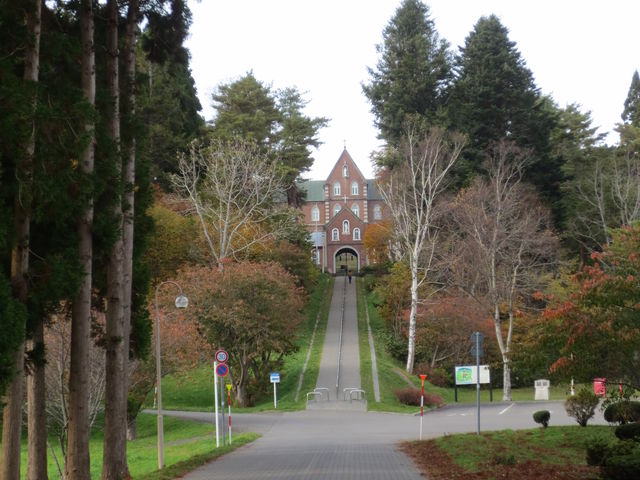 ���Ɍ�����̂��C���@_�����V�g�[���̐����C���@�i�g���s�X�g�C���@�j