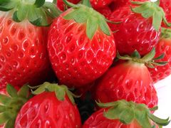 ̂ό_JYUGOYAւ̓eʐ^1