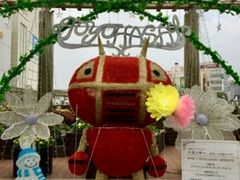 ���䂳��̃J���~�A�ւ̓��e�ʐ^1