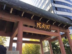 ����������̉���@�ւ̓��e�ʐ^1